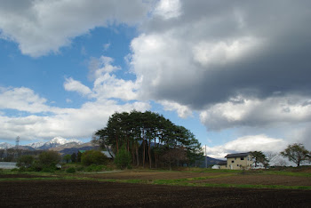 高原の散歩道から