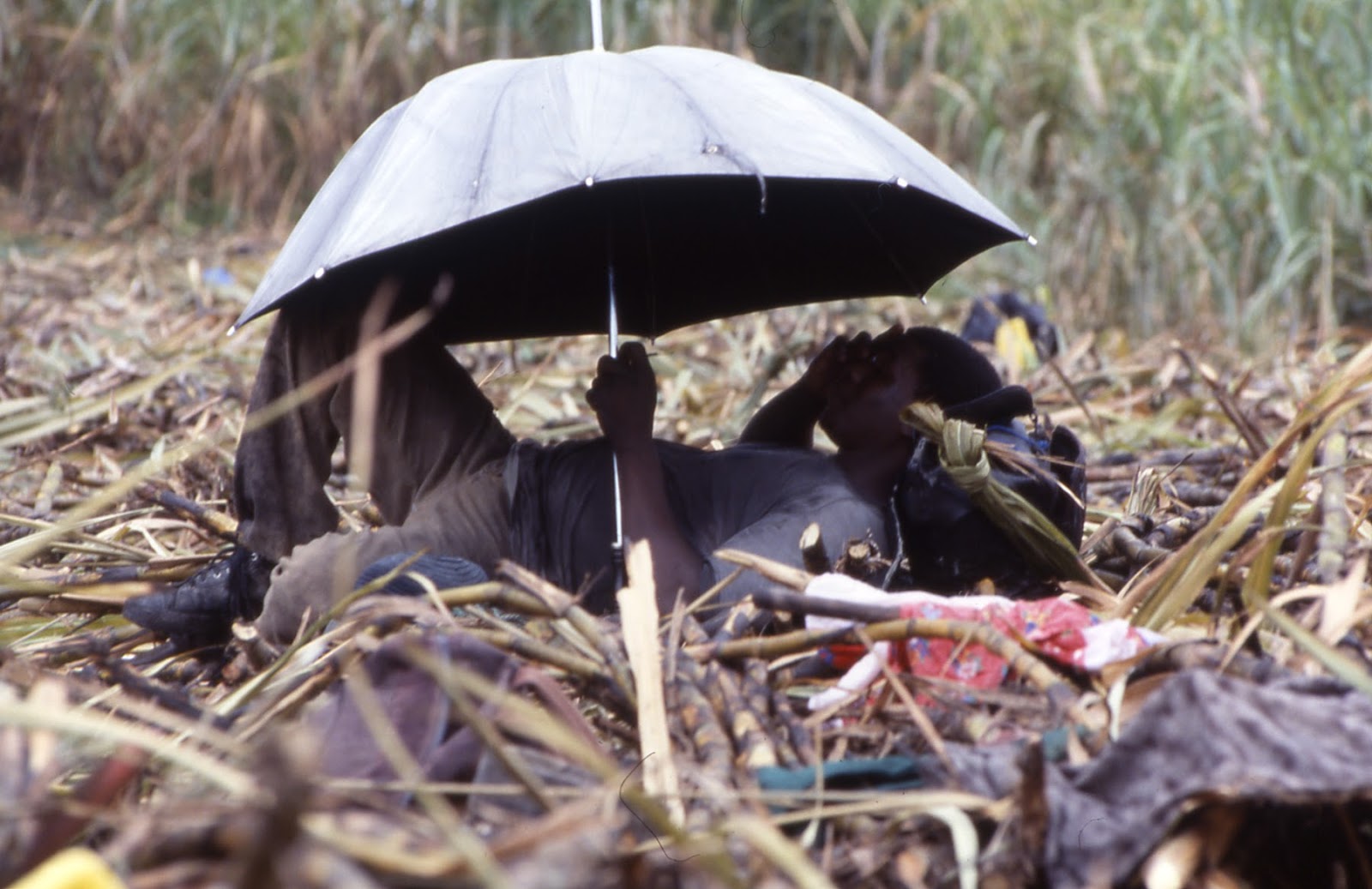 Way Wive Wordz for the Spiritual Creative: 