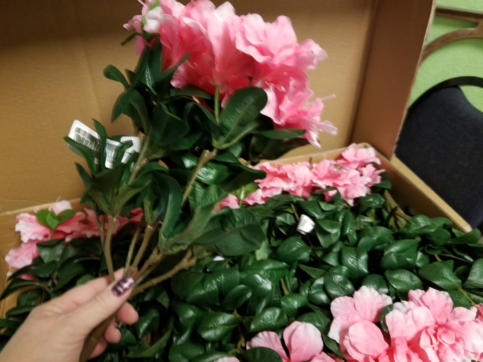 Dragonfly Treasure Silk Plants Direct Review