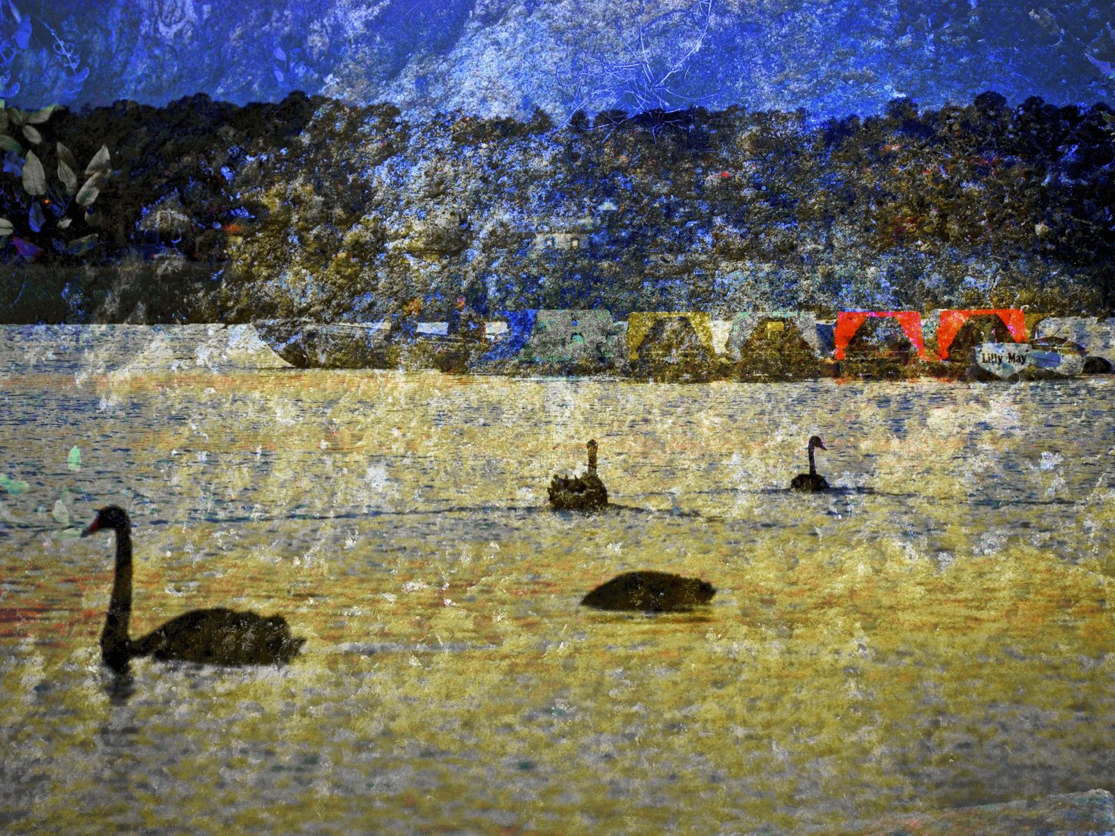 Howard Gwynne photo blog Lake Wendouree, Ballarat