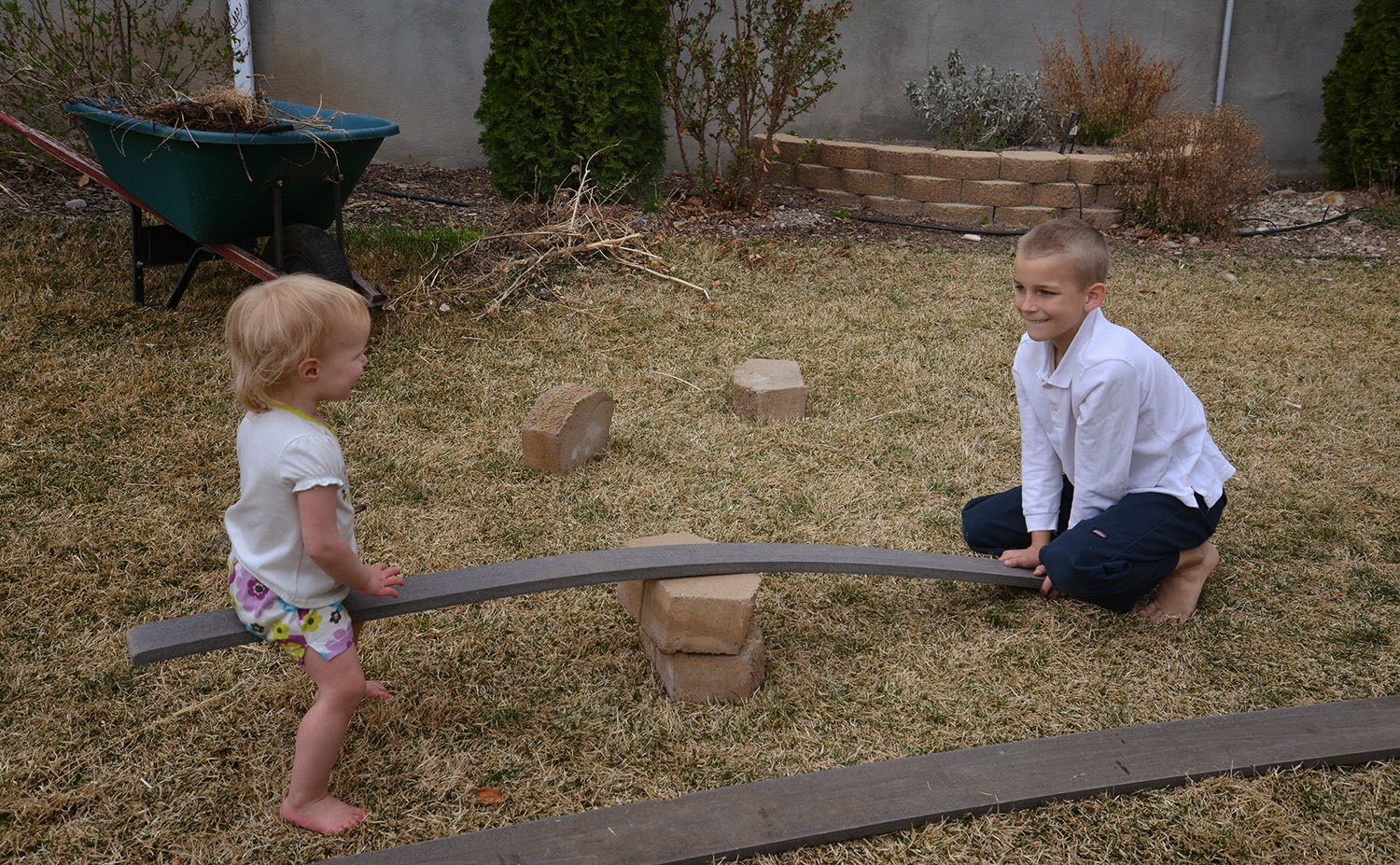 A school of fish Simple Machines Levers