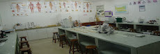 Lab. de Ciências