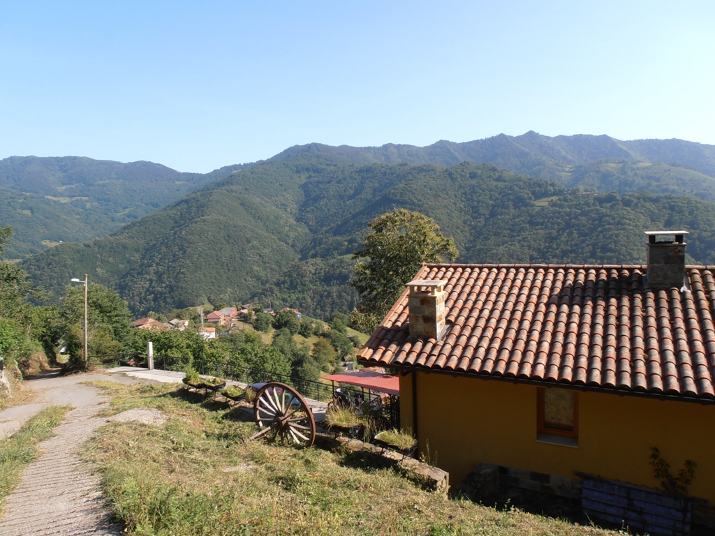 UN LUGAR PARA VIVIR Pandel