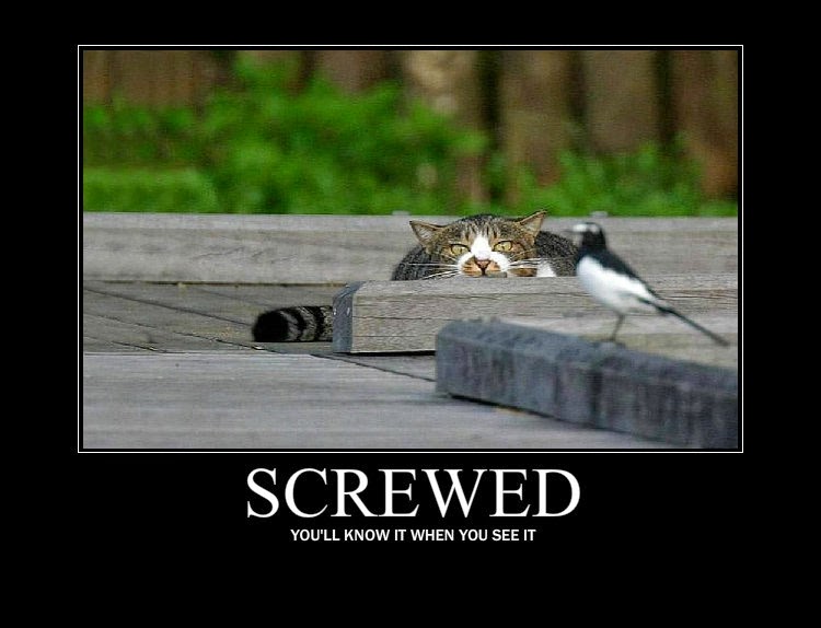 Screwed and pissed off