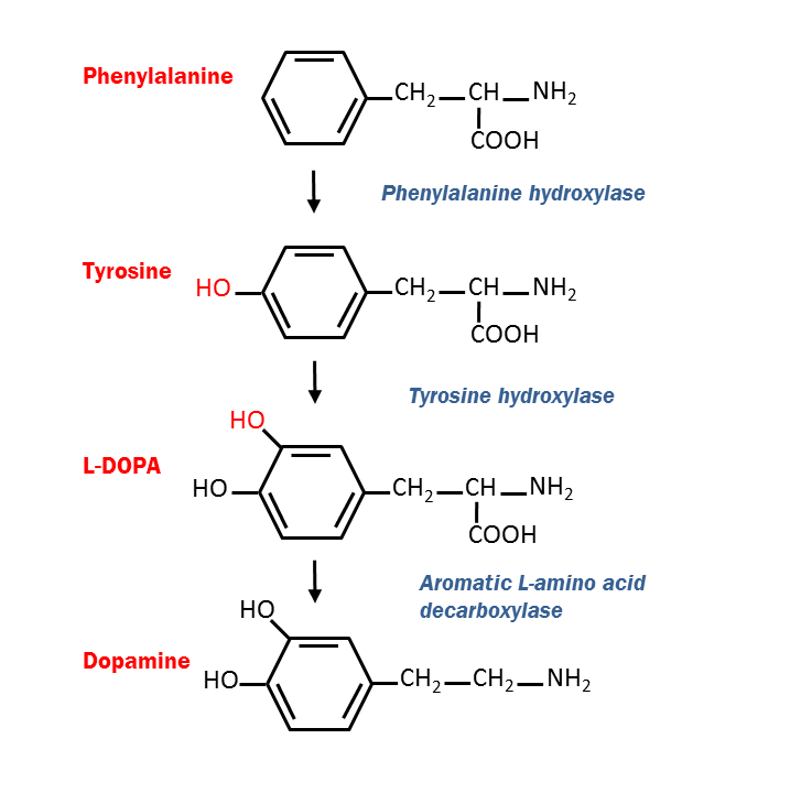InterPro database blog Protein focus Don’t blame the cat the