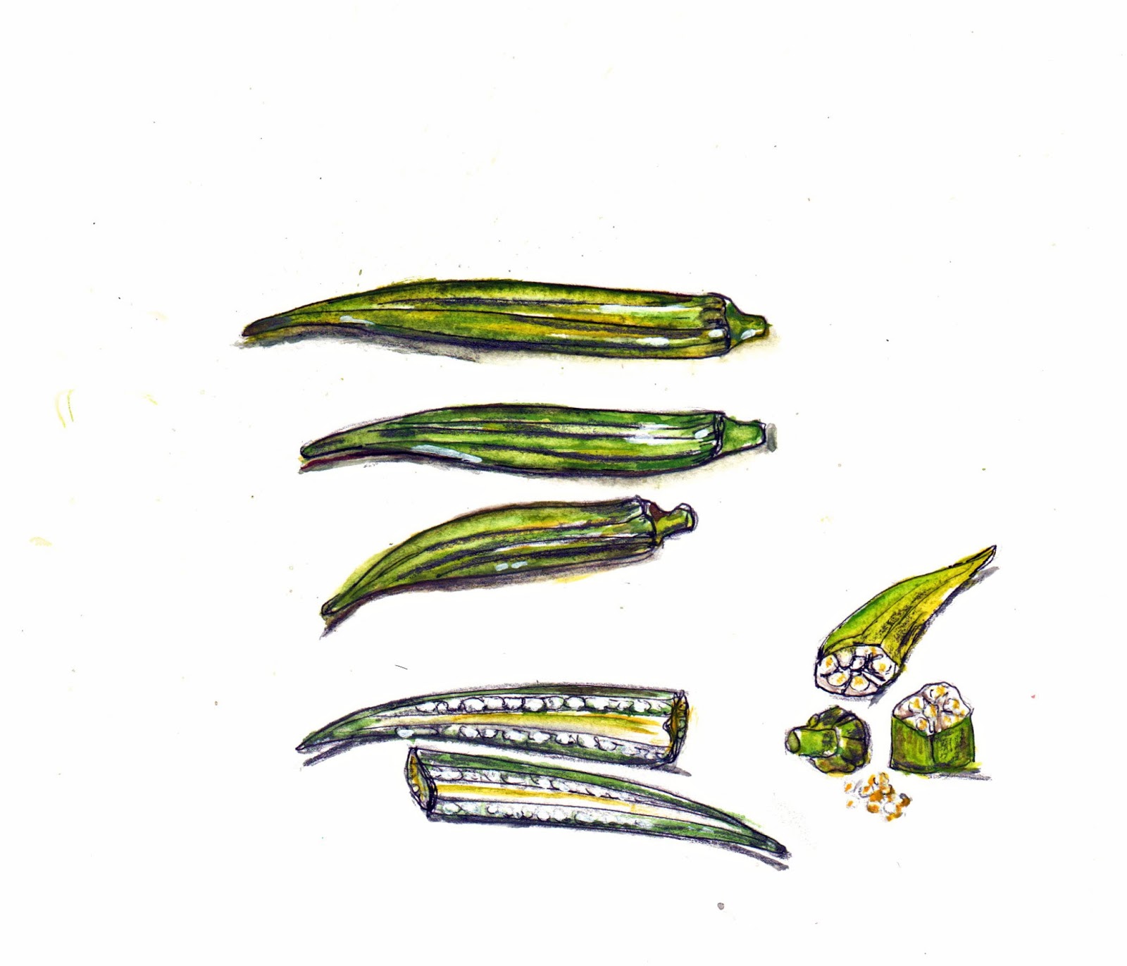 Dharmakarmaarts Cooking With Okra Tips and Techniques