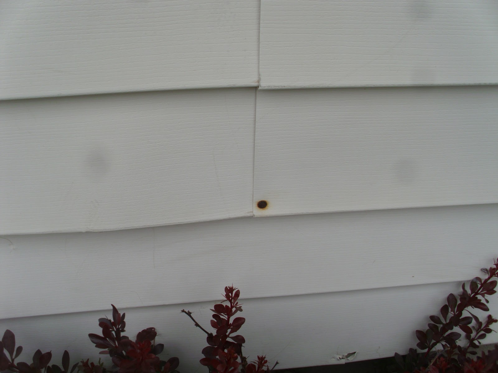 Home Improvement Central The problem with vinyl siding...