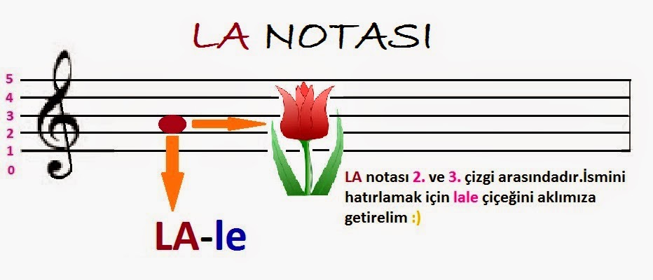 NOTA BONA: NOTALARIN GÖRSEL ALGI İLE ÖĞRETİMİ