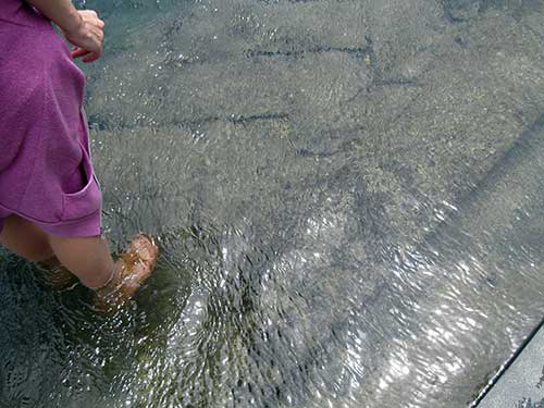 Garden Adventures For Thumbs Of All Colors Container Gardens