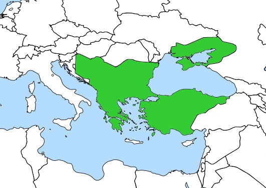 Recep Mesut Kasim 2016