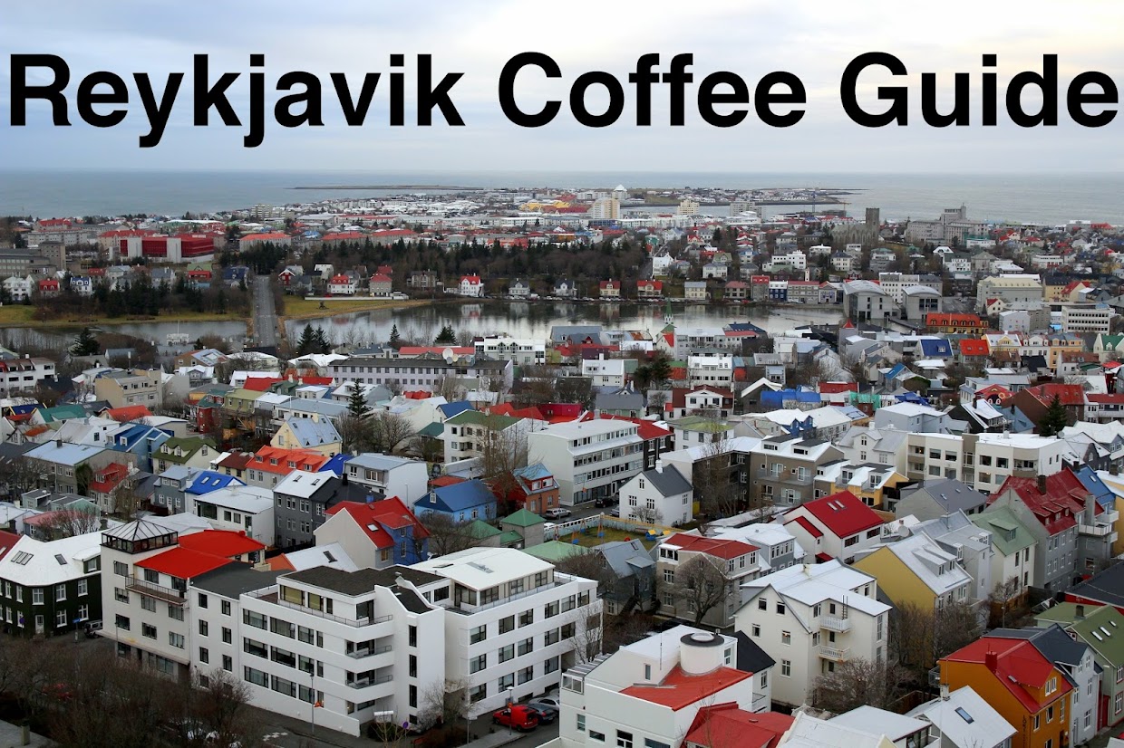 Double Skinny Macchiato Reykjavik Coffee Guide