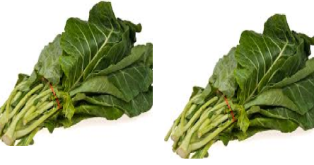 Collard Green Meaning In Hindi Spanish Tamil Telugu Malayalam Urdu Kannada Name Gujarati In Marathi Indian Name Marathi Tamil English Other Names Called As Translation Pocket News Alert