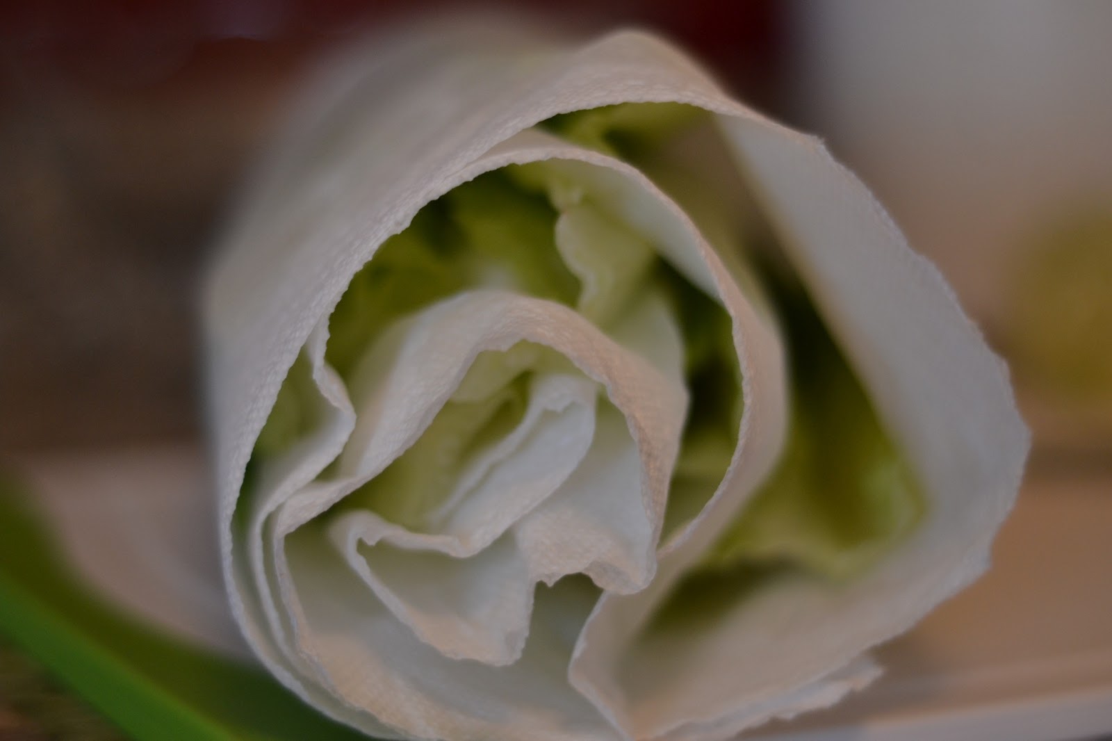 The Domestic Curator: Crisping the Greens: How To Rehydrate Your Lettuce