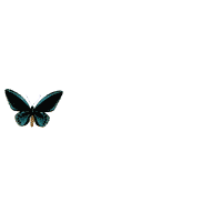Resultado de imagem para borboleta gif