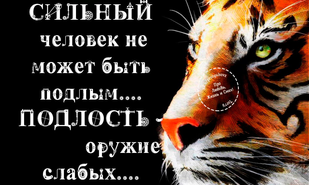 Картинки с надписями о подлых людях и их наказаниях