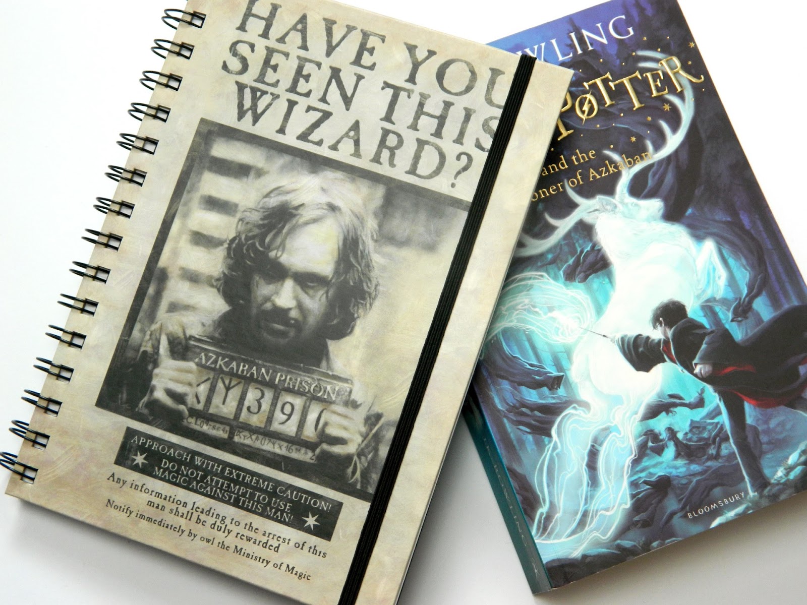 Harry Potter Notebooks From Poundland Raiin Monkey