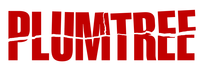 AmberDust : The Online Blog of Gemma Roberts: How to Make a Scott