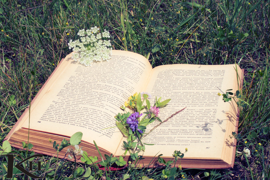 Год в цветах книга. Раскрытая книга. Книга с цветами. Книги о цветах. Книги о растениях.