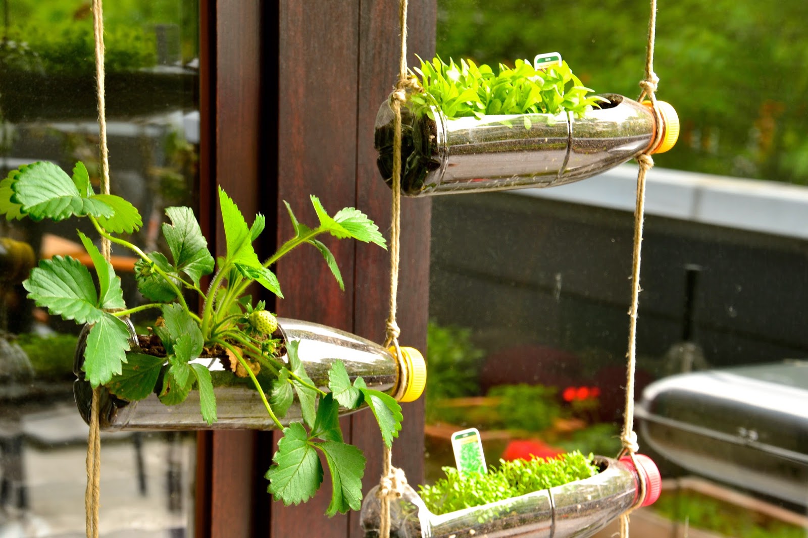 feo Descifrar suma El Arte de Reciclar: Jardín vertical hecho con botellas