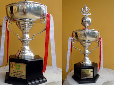 Piala Raja Matan Tanjungpura