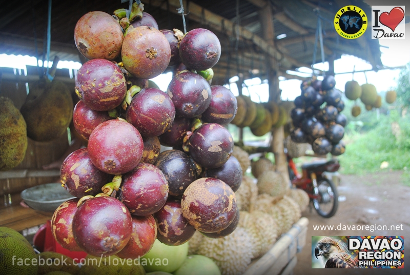 Fresh Fruits from Davao Region Davao Region Philippines Southern Mindanao