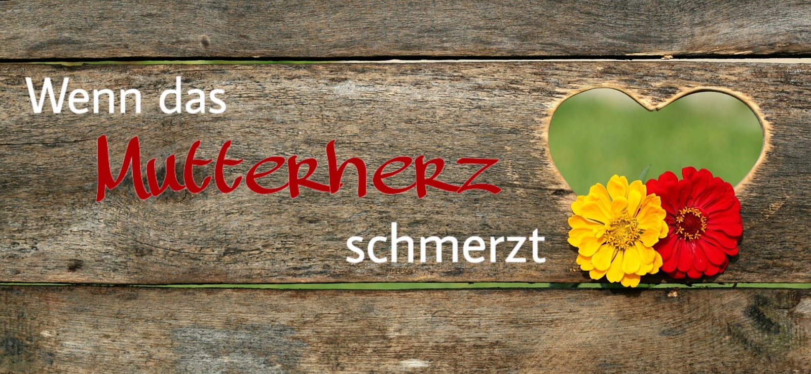 Https Www Schnecke Online De 15 Schnecke Ausgabe 103 Ansicht Pdf