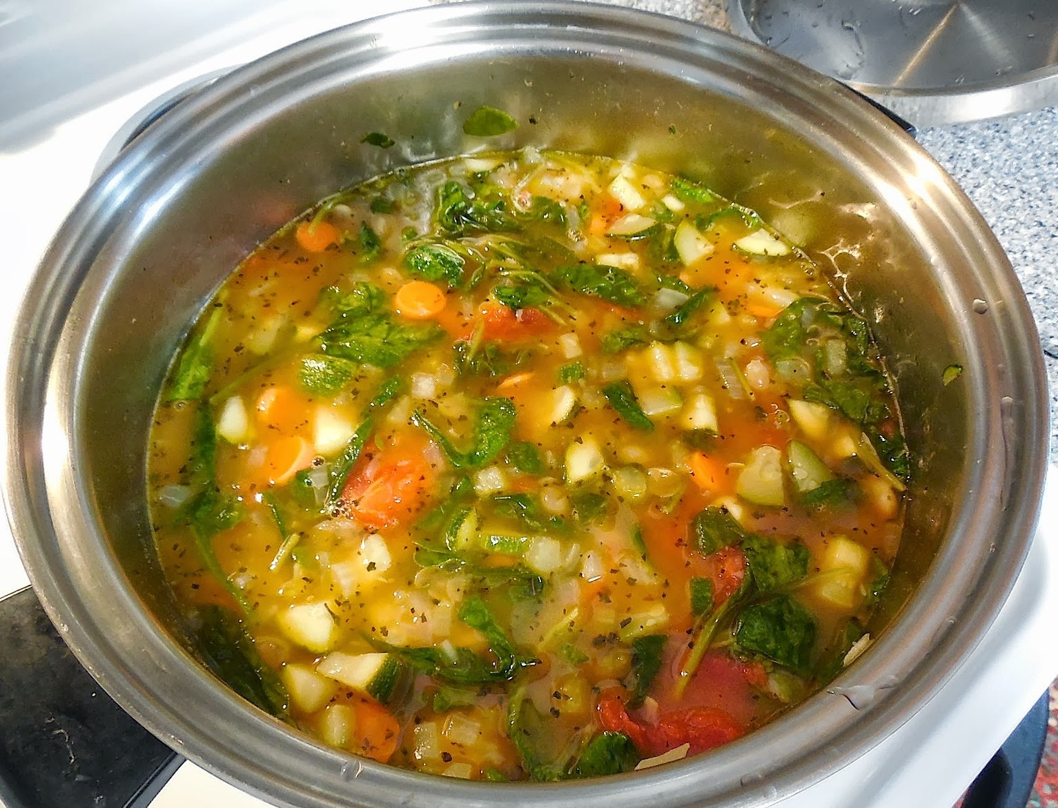 Karen's Kitchen Vegetable Bean Soup