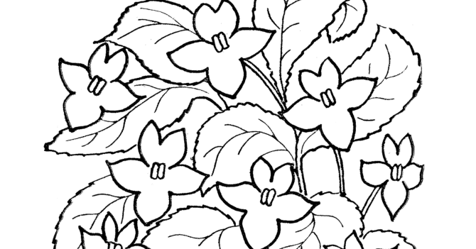 Flower Vines Coloring Pages | Coloring Pages For Kids