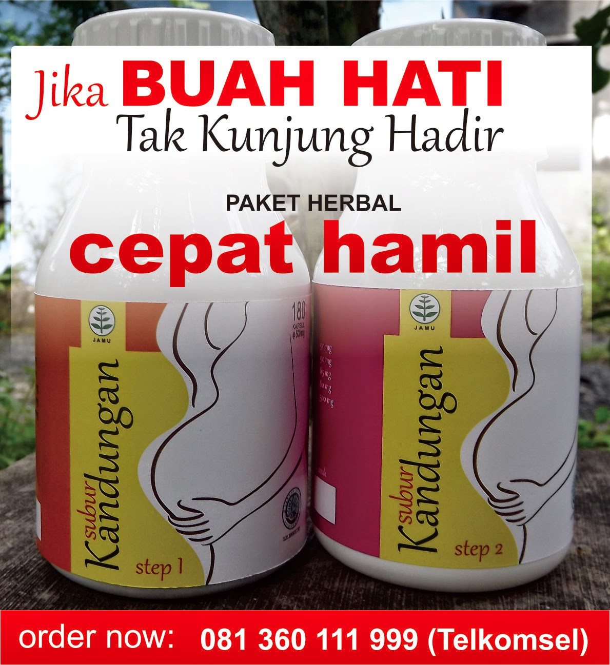 Obat Untuk Cepat Punya Anak, Resep Masakan Ibu Hamil Muda Obat Untuk Cepat Punya Anak, Resep Masakan Ibu Hamil Muda