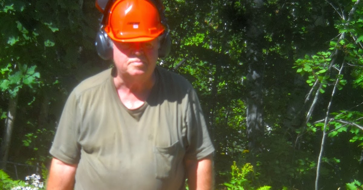 Art's Bayfield Almanac TAKE THIS CHAINSAW SAFETY QUIZ