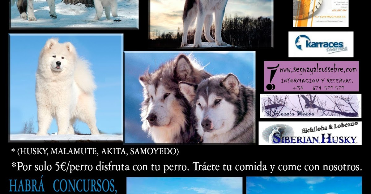 Campezo web para conocer gente Campezo web para conocer gente