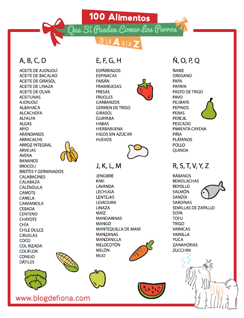 EL BORDER COLLIE: Frutas y verduras que puede comer tu