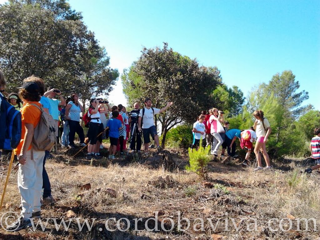 Grupo del Día Mundial de las aves en la Sierrezuela de Posadas ( Córdoba )
