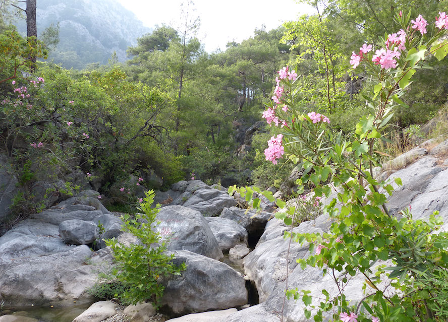 Der Aktuelle Wein Guide Meiningers Weinsuche