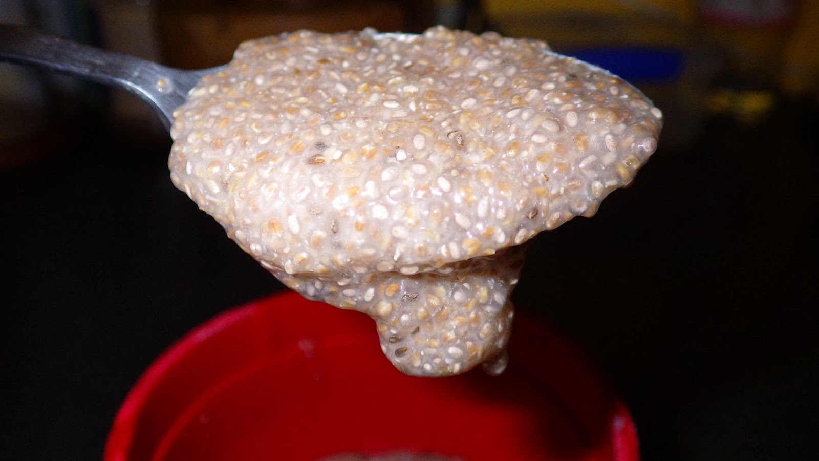 Josephine Eliza Chia Seed Egg