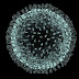 nCoronavirus patient in Toronto successfully recovered- now discharged from hospital