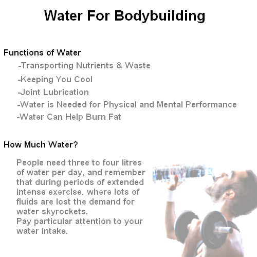 Water Bodybuilding The Secret Key to Full Muscles