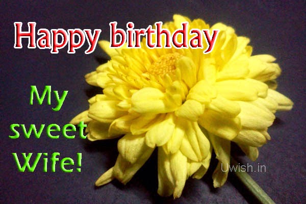 Best Happy Birthday Wishes For Colleagues