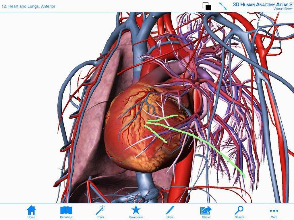 human anatomy atlas for pc human anatomy atlas for pc