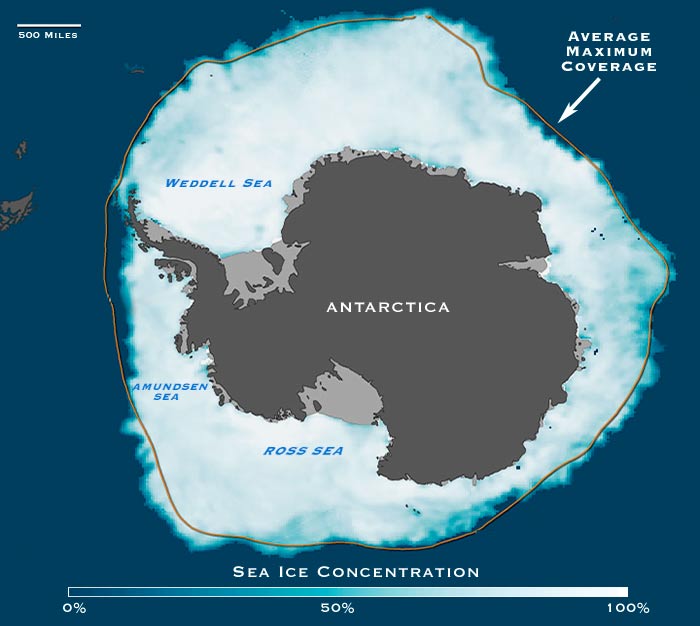 The Antarctic Grow While Arctic Shrink?