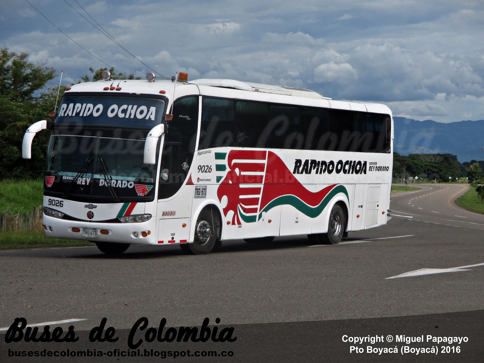 Rapido Ochoa 9026