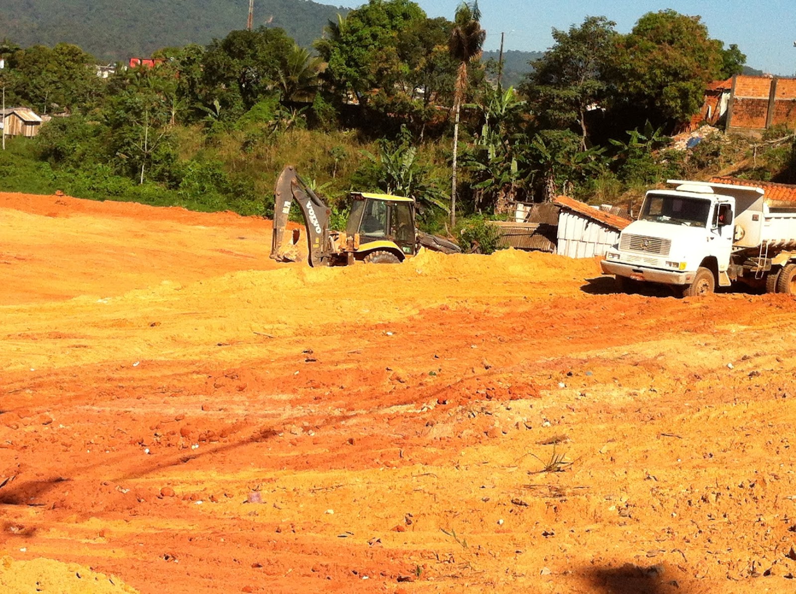 Caminhos Para Reverter O Descaso Ambiental No Brasil