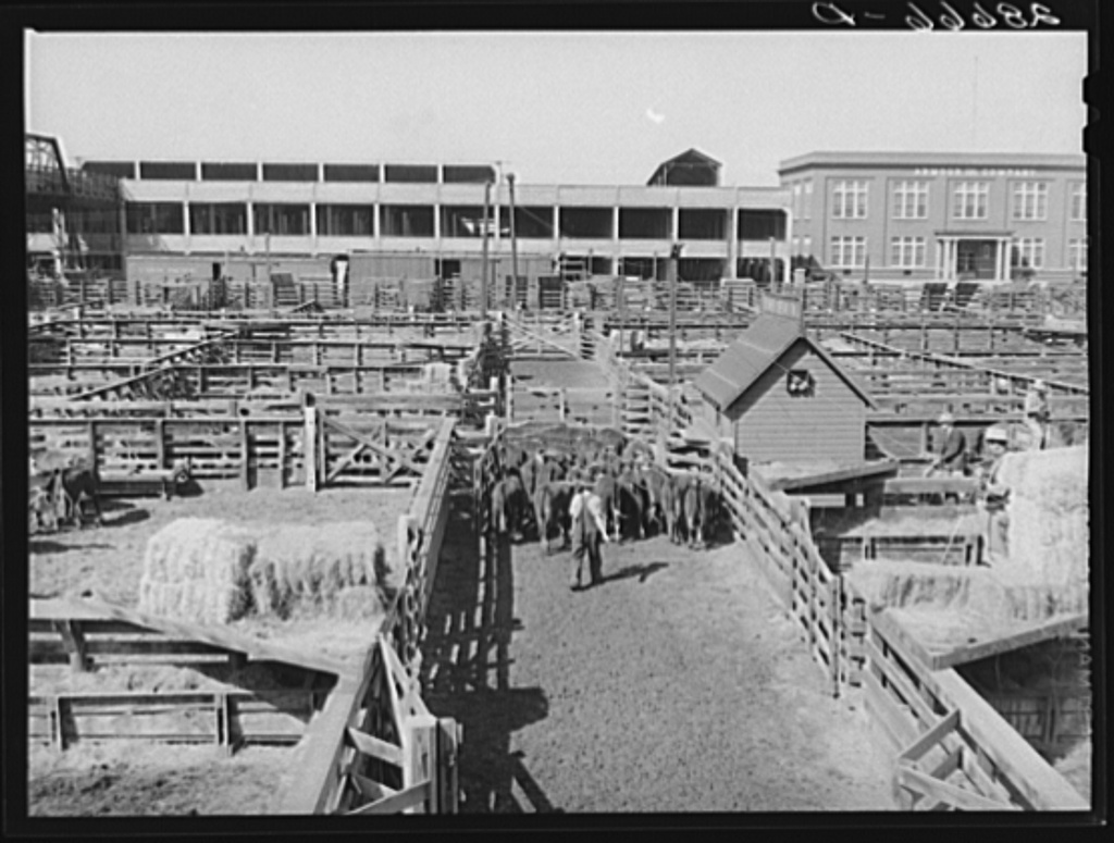 Denver Stockyards 1939, 1941. Big Picture Agriculture