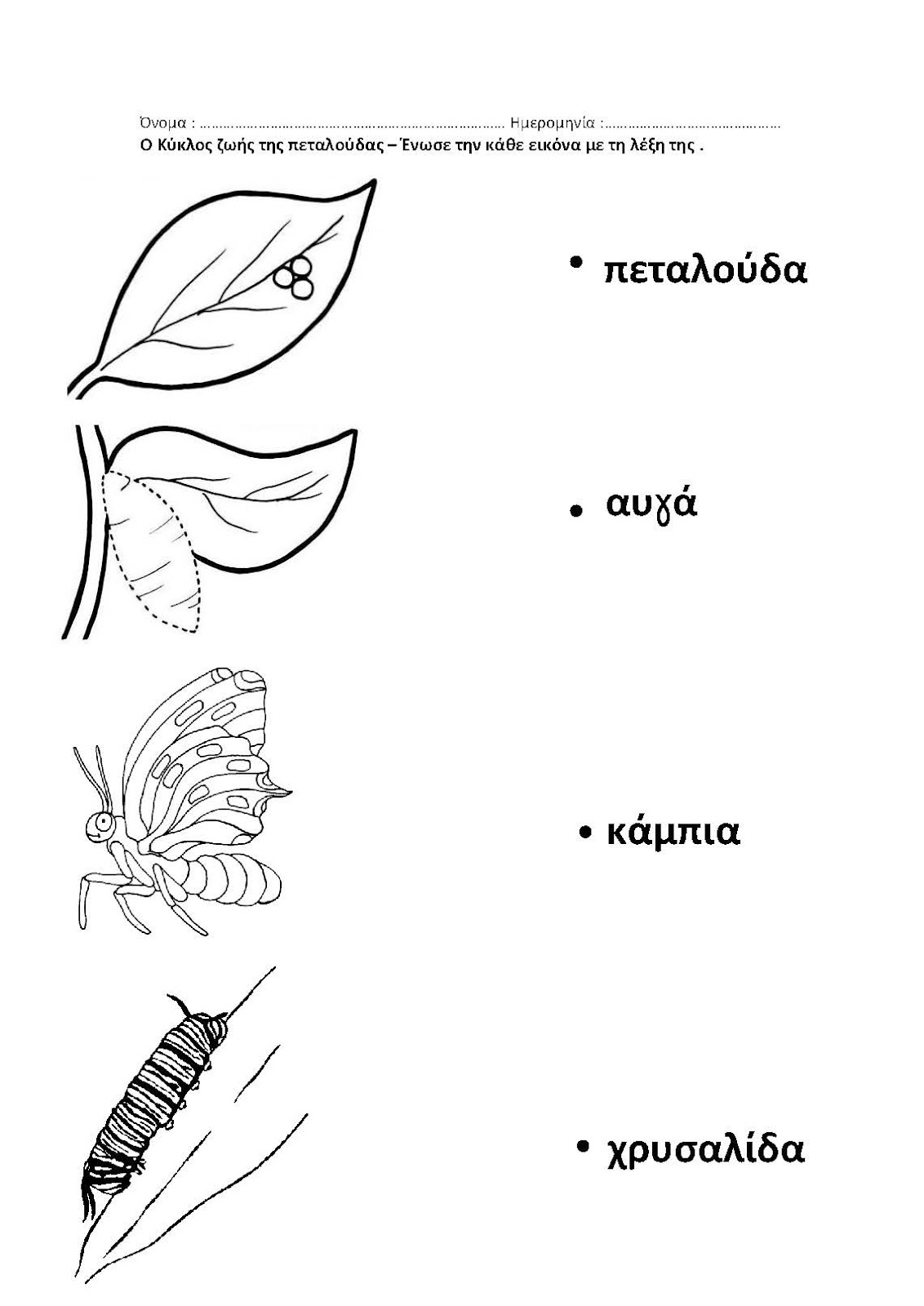 dreamskindergarten Το νηπιαγωγείο που ονειρεύομαι !: Ο κύκλος ζωής ...