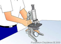 cara menggunakan mikroskop cahaya