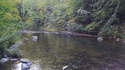The river at Linville Falls Campground