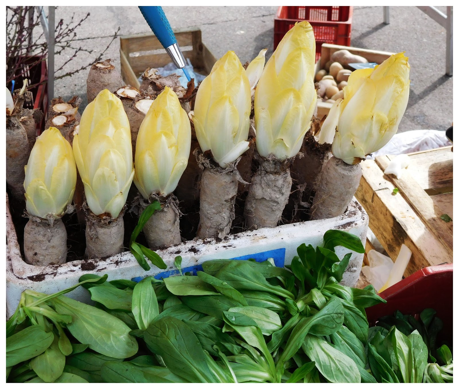 THE LIVEIN TOURIST MARCHÉ SAINTANTOINE CÉLESTINS, LYON