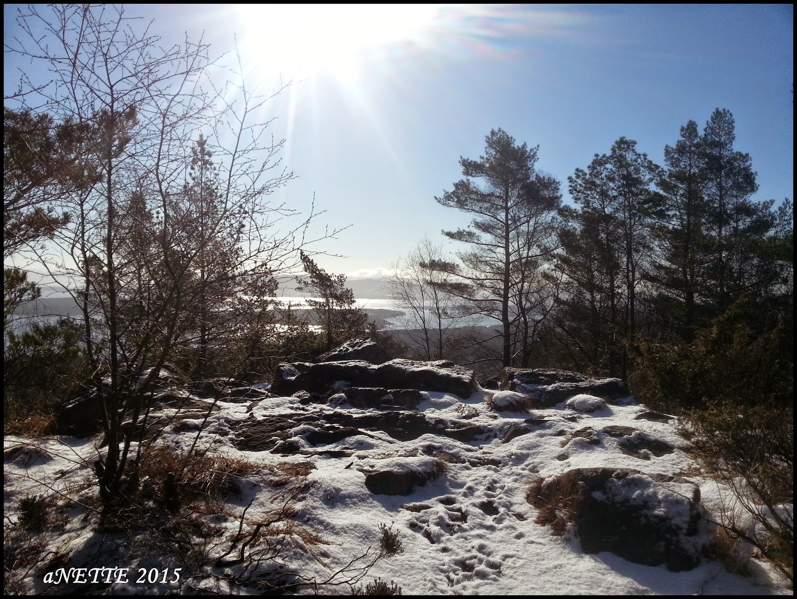 Afgr dine gener om du taber dig bedst af mindre