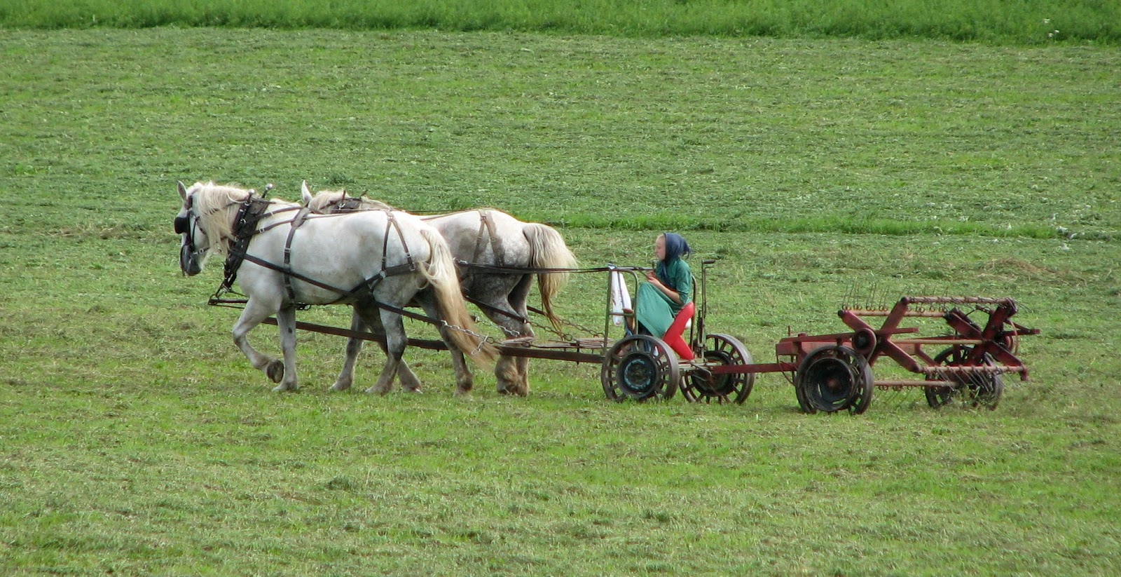 Northview Diary: Fluffing Hay