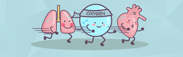 Під час тренування наш організм споживає більше кисню, а це насичує ним всі внутрішні органи та всі клітини. 